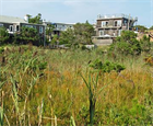 Fire Island Image