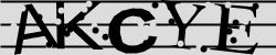 CAPTCHA