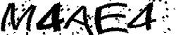CAPTCHA